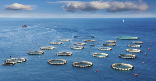 2025年中國深遠海養殖裝置行業(yè)政策、發(fā)展歷程、行業(yè)現狀及未來(lái)發(fā)展趨勢分析：海洋產(chǎn)業(yè)轉型升級驅動(dòng)，深遠海養殖裝置需求持續攀升